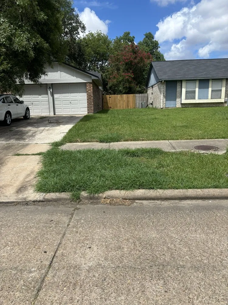 Top-rated yard cleanup service with custom design in Missouri City, TX by True Loyalty