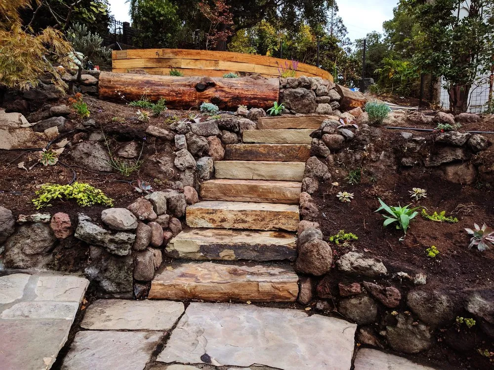 Expert lawn care service in Pinole, CA - True Magic Landscaping