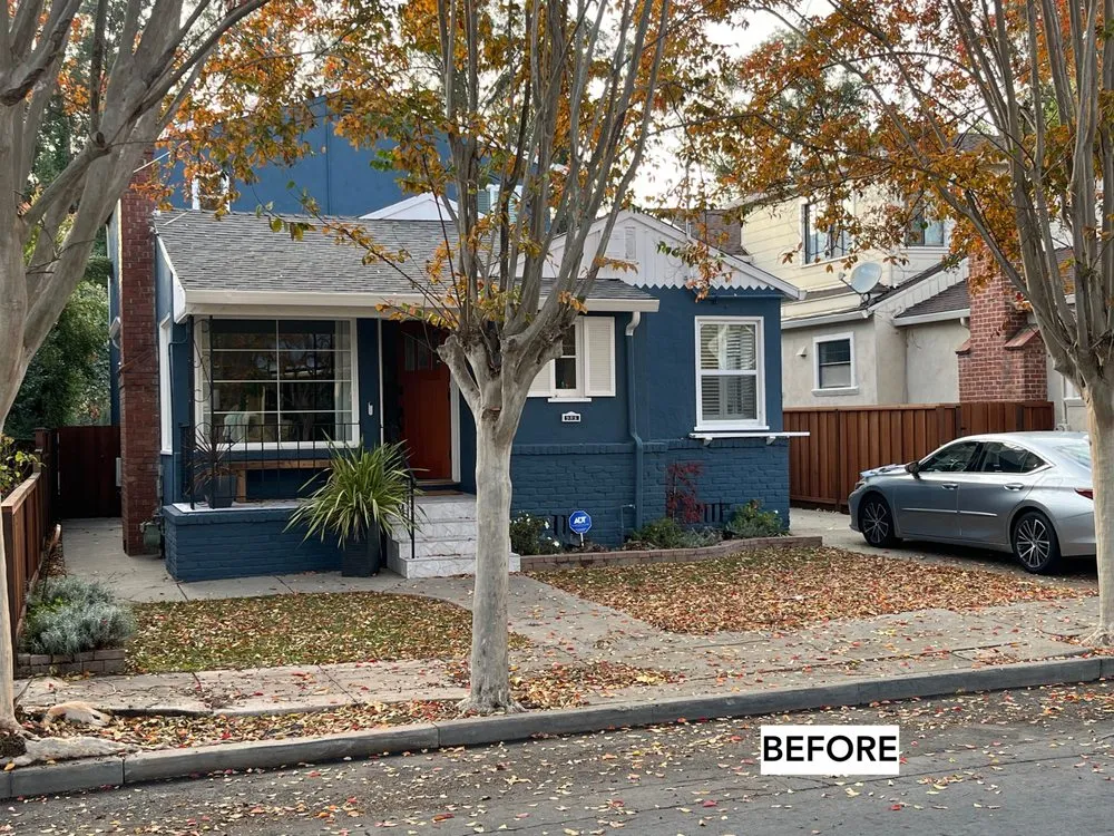 Local yard cleanup service experts serving Pinole, CA - True Magic Landscaping