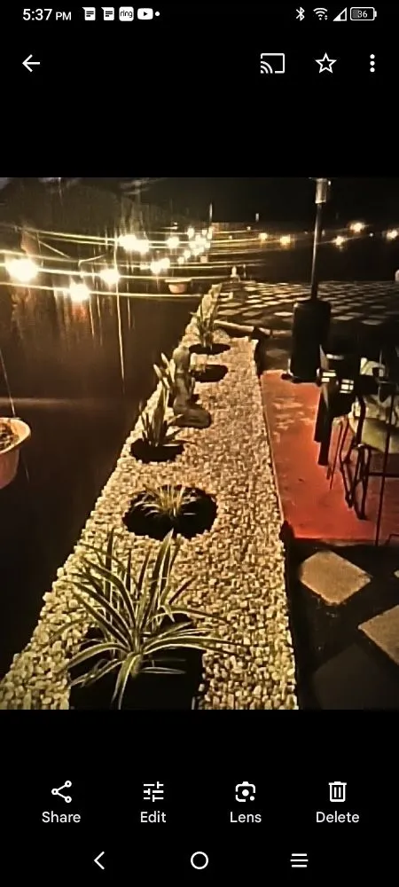 Affordable yard cleanup service experts serving Savannah, GA - True N Nice Designs