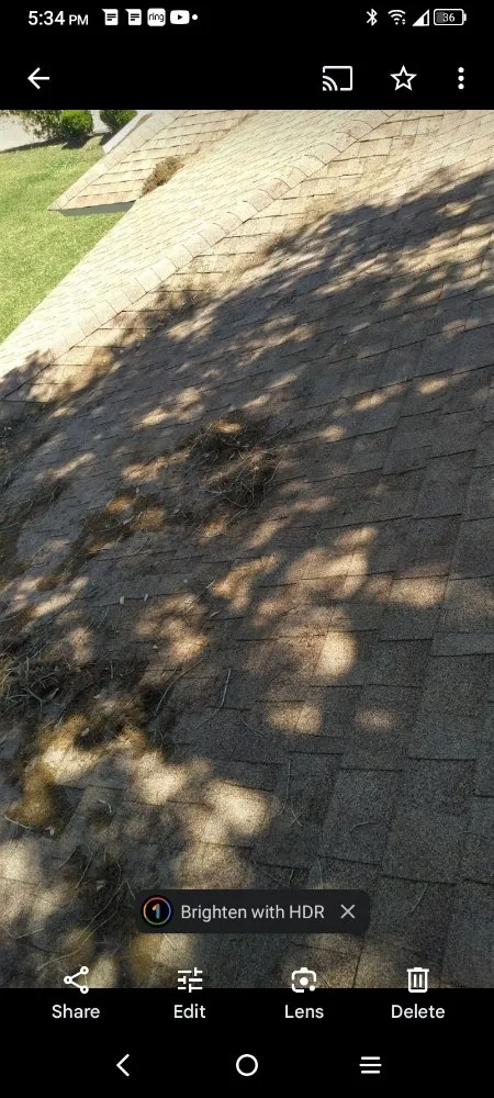 Top-rated yard cleanup service experts serving Savannah, GA - True N Nice Designs