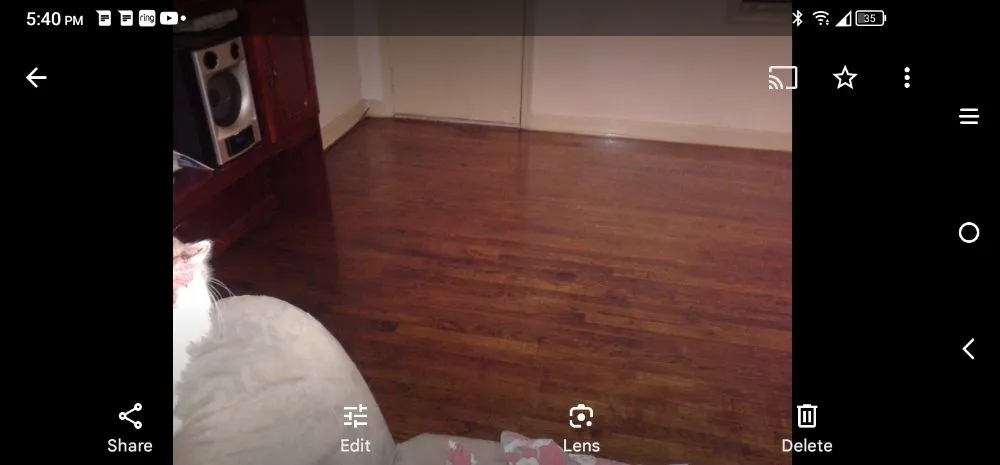 Top-rated lawn care service for beautiful yards across Savannah, GA - True N Nice Designs