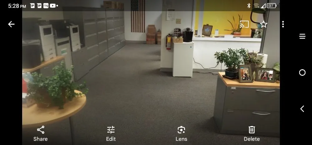 Top-rated lawn care service in Savannah, GA - True N Nice Designs