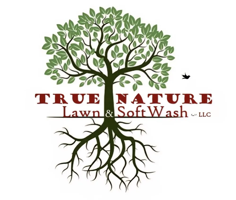 Affordable garden landscaping in Lexington, SC by True Nature Lawn & SoftWash