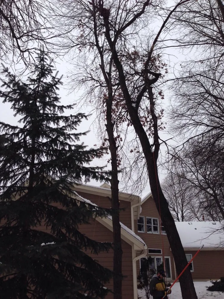 Custom lawn care service for beautiful yards in Rochester, MN by True Nature