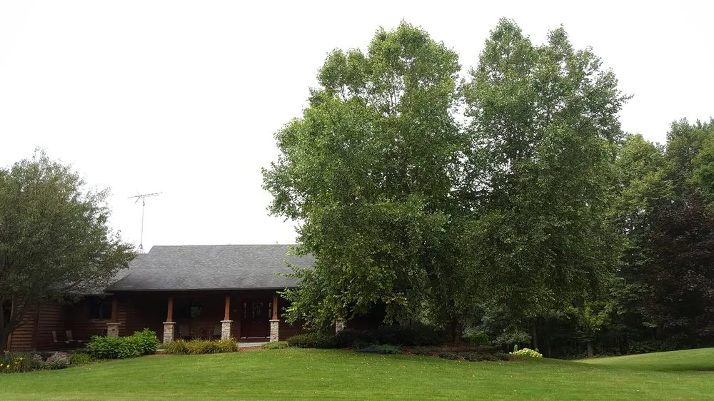 Reliable lawn care service experts serving Rochester, MN - True Nature