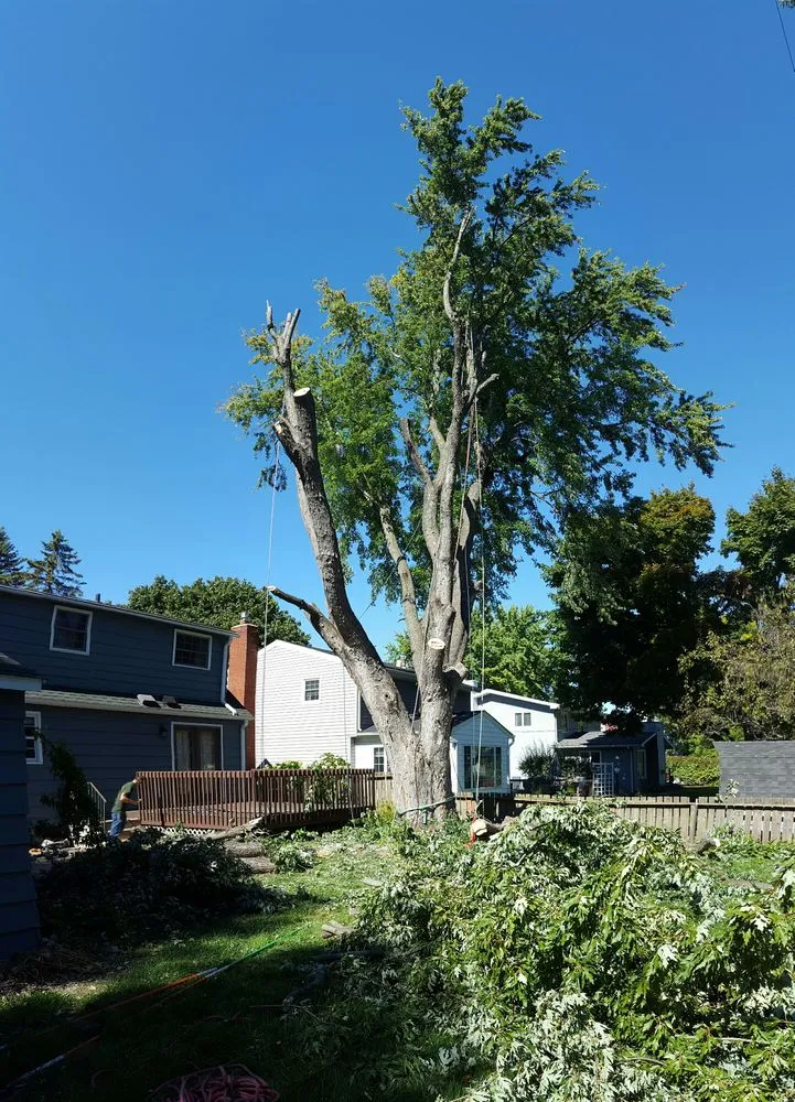 Local lawn care service in Rochester, MN - True Nature