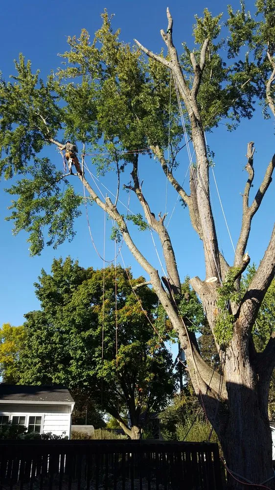 Custom lawn care service in Rochester, MN - True Nature