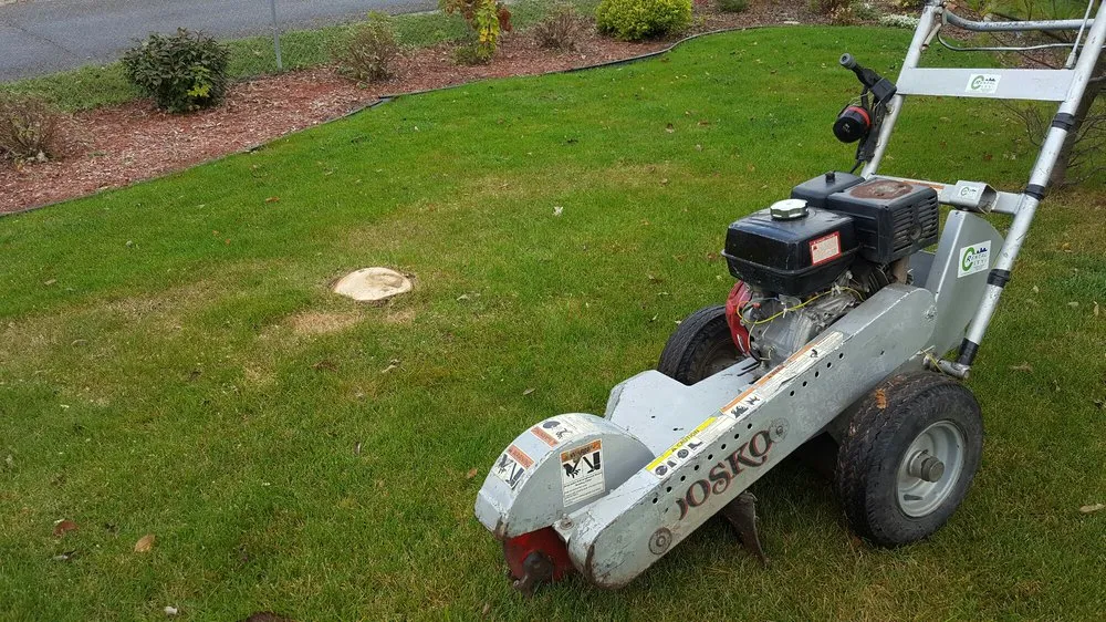 Trusted landscaping services in Rochester, MN - True Nature