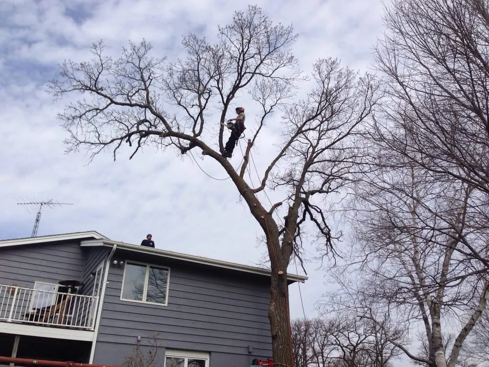 Trusted residential landscaping in Rochester, MN by True Nature
