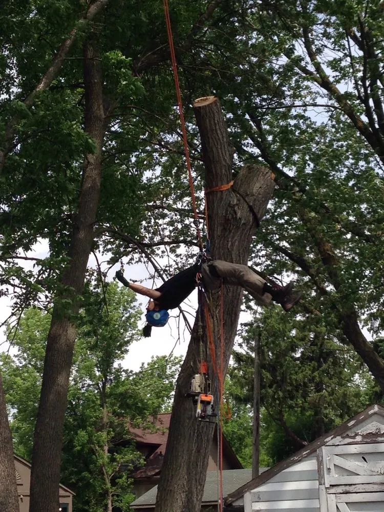Local lawn care service in Rochester, MN - True Nature