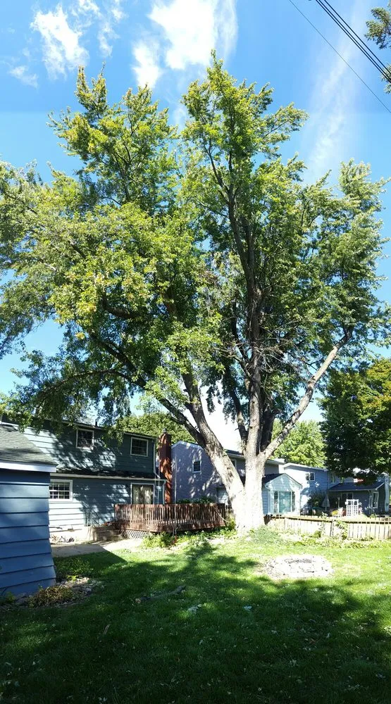 Expert lawn care service for outdoor upgrades across Rochester, MN - True Nature