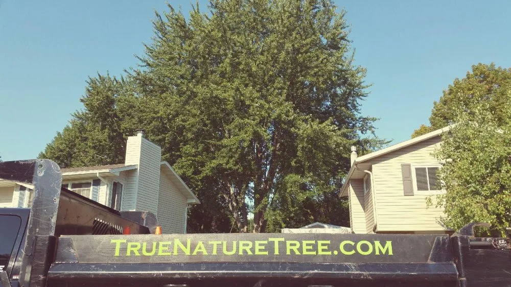 Reliable yard cleanup service for year-round maintenance across Rochester, MN - True Nature