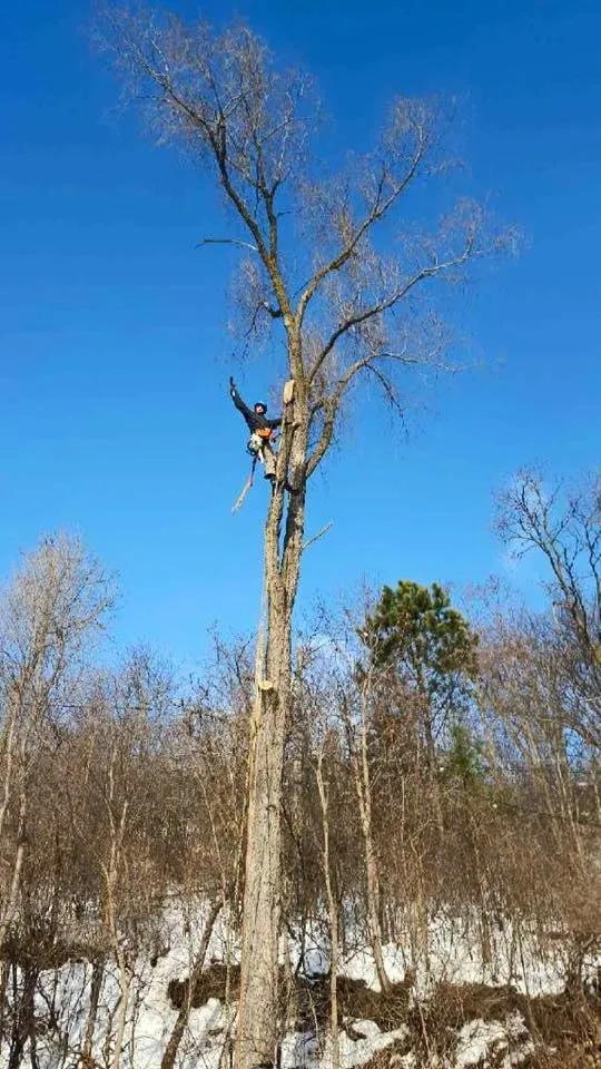 Custom yard maintenance in Rochester, MN - True Nature