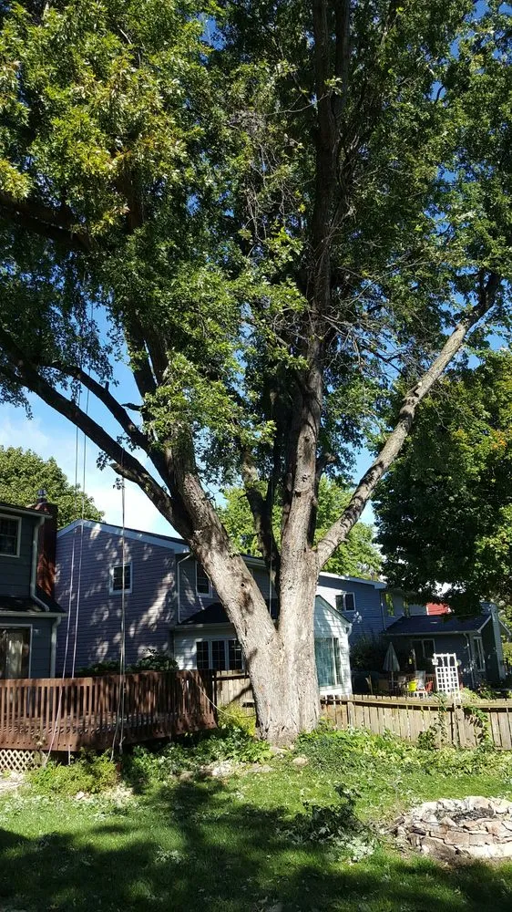 Professional outdoor landscaping for residential properties in Rochester, MN by True Nature