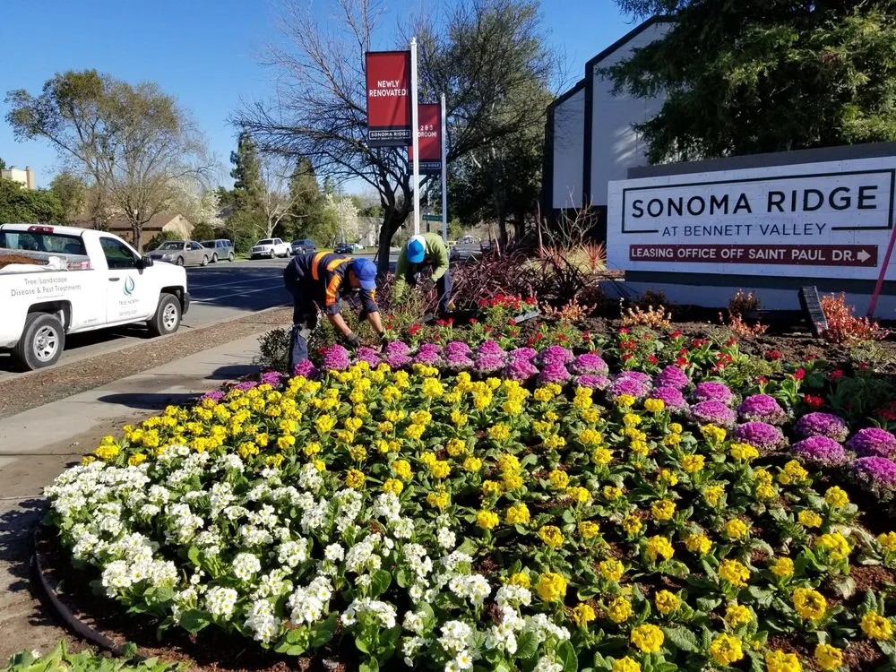 Custom outdoor landscaping experts serving Santa Rosa, CA - True North Landscapes