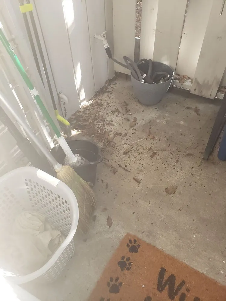 Expert lawn care service experts serving Santa Rosa, CA - True North Landscapes