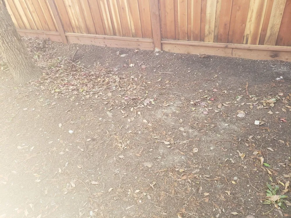 Reliable residential landscaping in Santa Rosa, CA by True North Landscapes