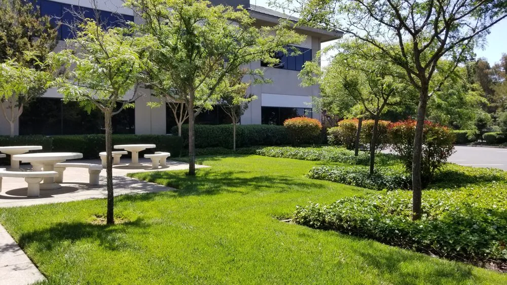 Trusted landscape installation near you across Santa Rosa, CA - True North Landscapes