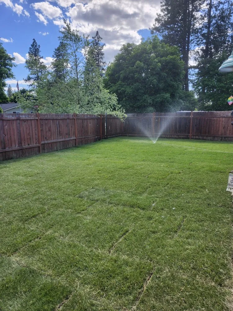 Affordable landscape installation in Post Falls, ID - True North Lawn Care