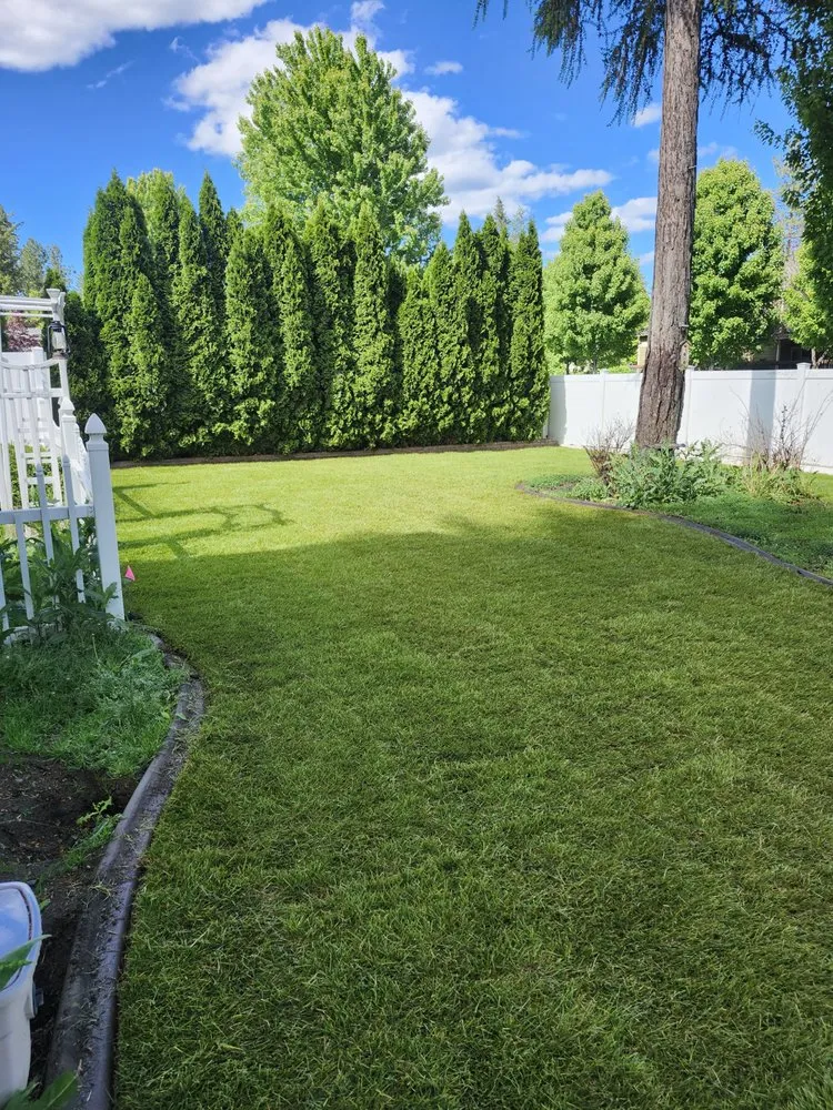 Custom yard cleanup service experts serving Post Falls, ID - True North Lawn Care