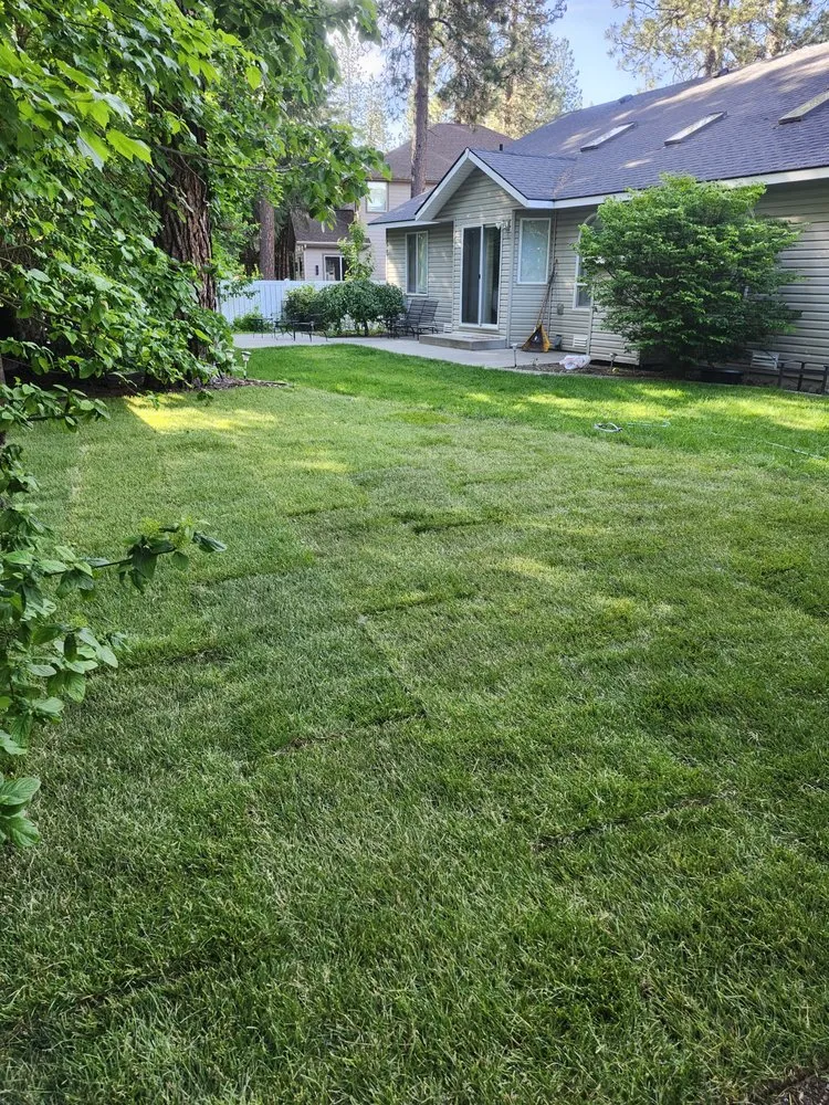 Affordable lawn mowing service for year-round maintenance in Post Falls, ID by True North Lawn Care