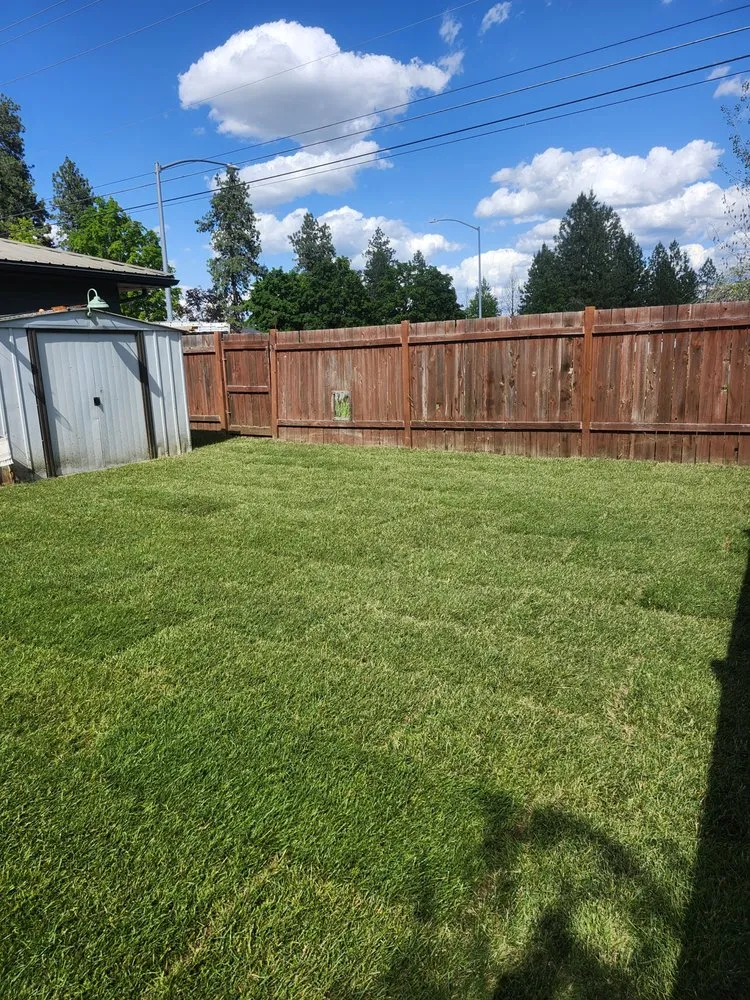 Expert yard cleanup service experts serving Post Falls, ID - True North Lawn Care