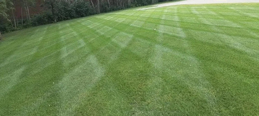 Affordable landscape installation for residential properties across Ramsey, MN - True North Outdoor Services