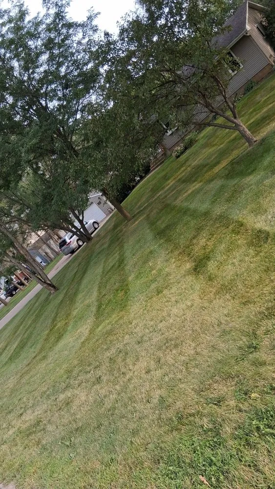 Affordable residential landscaping experts serving Ramsey, MN - True North Outdoor Services