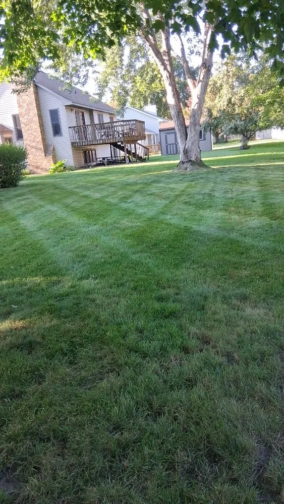 Professional landscape installation in Ramsey, MN by True North Outdoor Services