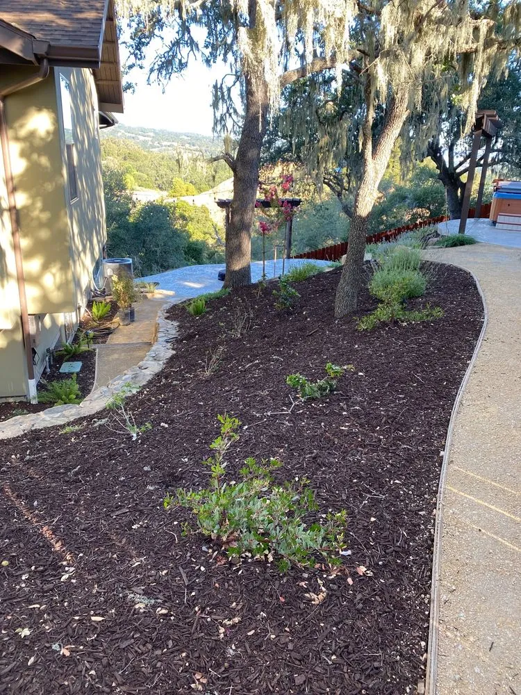 Expert outdoor landscaping with custom design across Atascadero, CA - True Oak Landscape Management