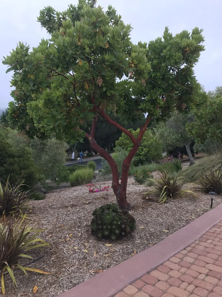 Expert landscape installation for outdoor upgrades across Atascadero, CA - True Oak Landscape Management