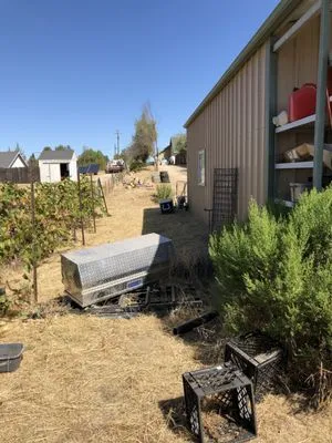 True Oak Landscape Management