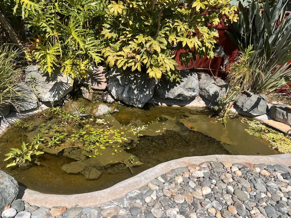 Local lawn mowing service in Antelope, CA by True Oasis Pond & Pool Care