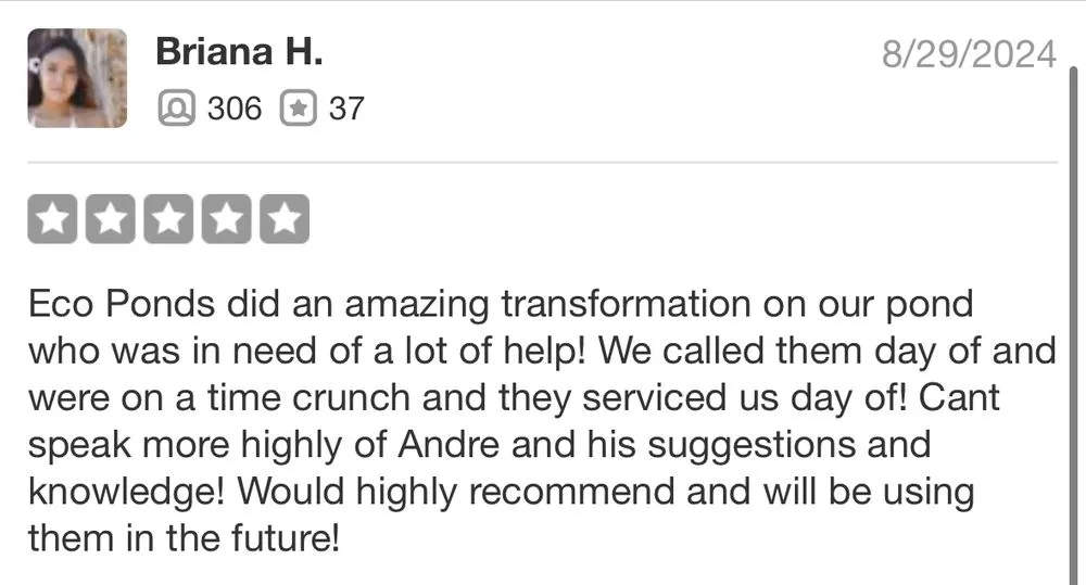 Trusted lawn care service with custom design across Antelope, CA - True Oasis Pond & Pool Care