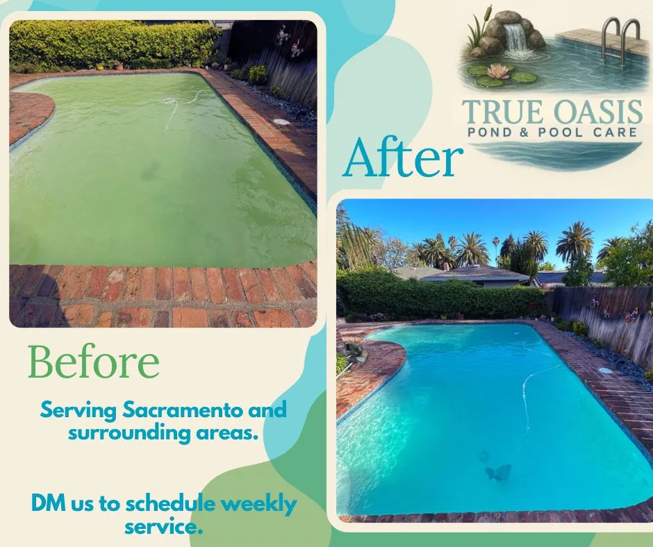 Custom residential landscaping in Antelope, CA by True Oasis Pond & Pool Care