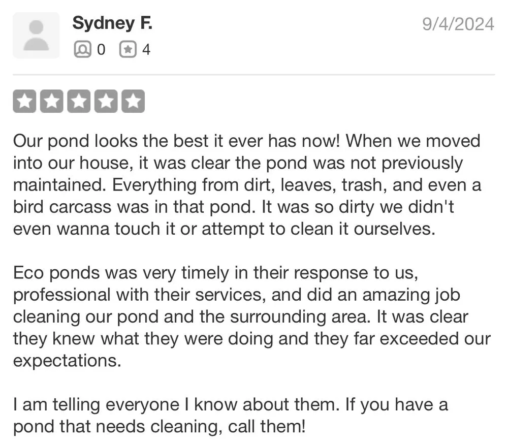 Top-rated yard cleanup service experts serving Antelope, CA - True Oasis Pond & Pool Care