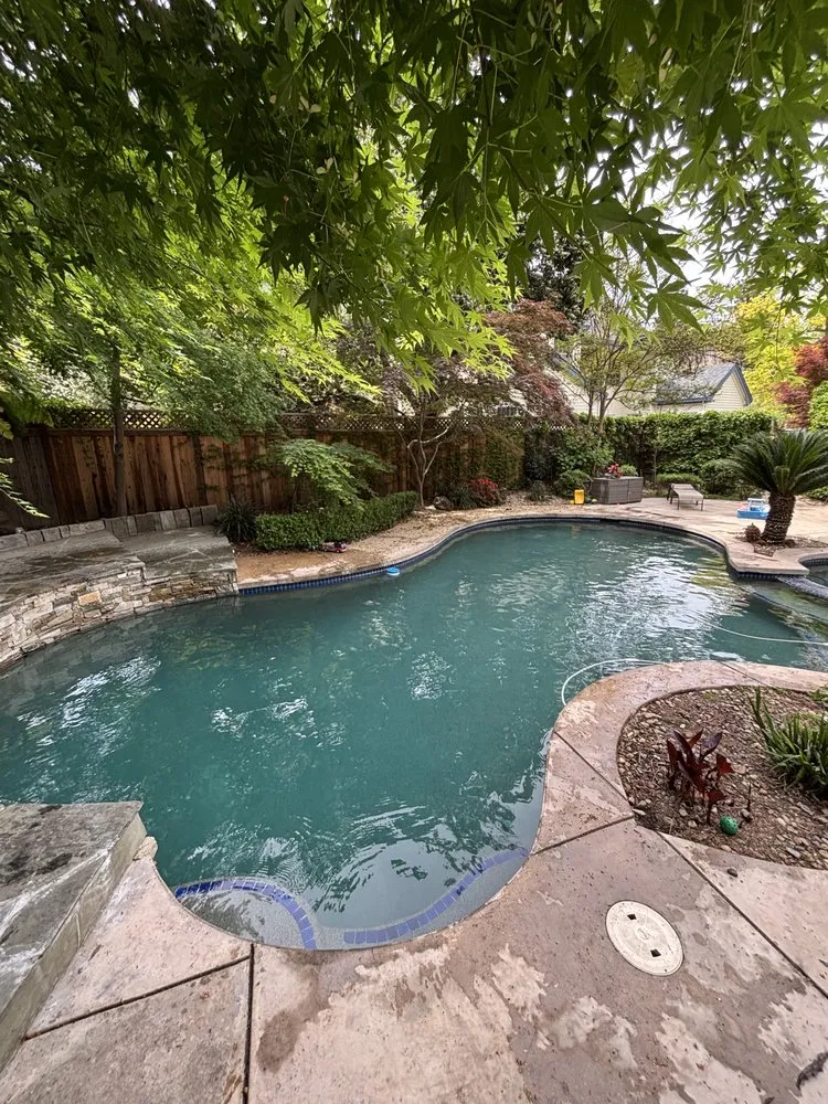 Custom residential landscaping for year-round maintenance in Antelope, CA by True Oasis Pond & Pool Care