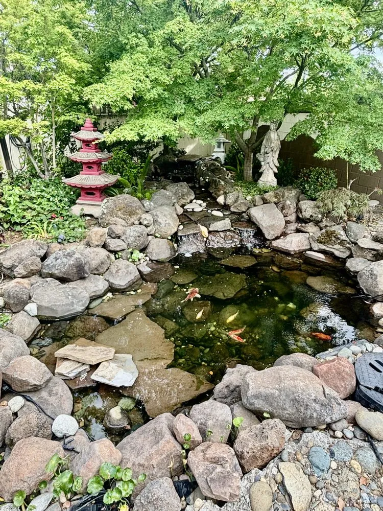 Custom landscaping services experts serving Antelope, CA - True Oasis Pond & Pool Care