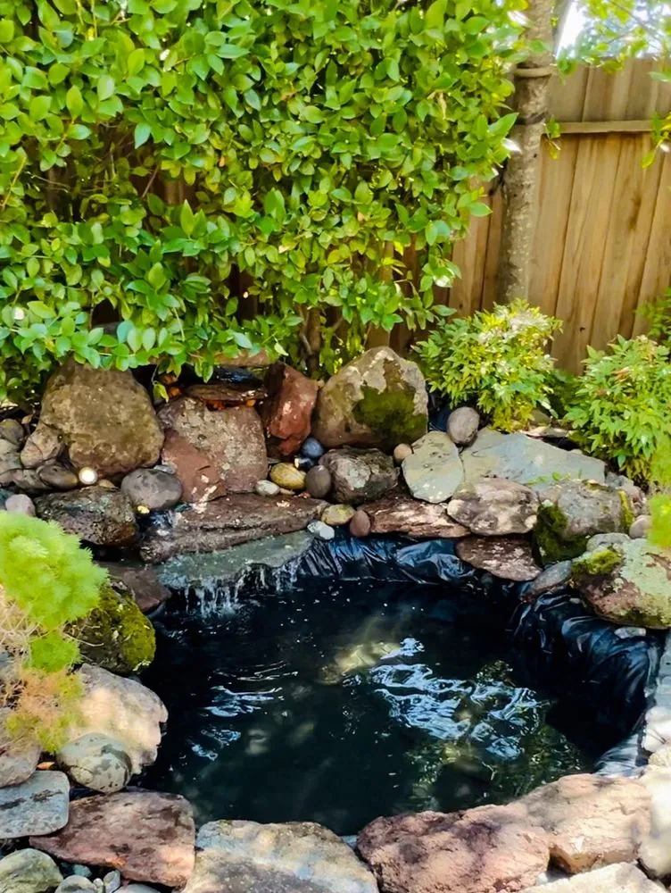 Custom residential landscaping experts serving Antelope, CA - True Oasis Pond & Pool Care