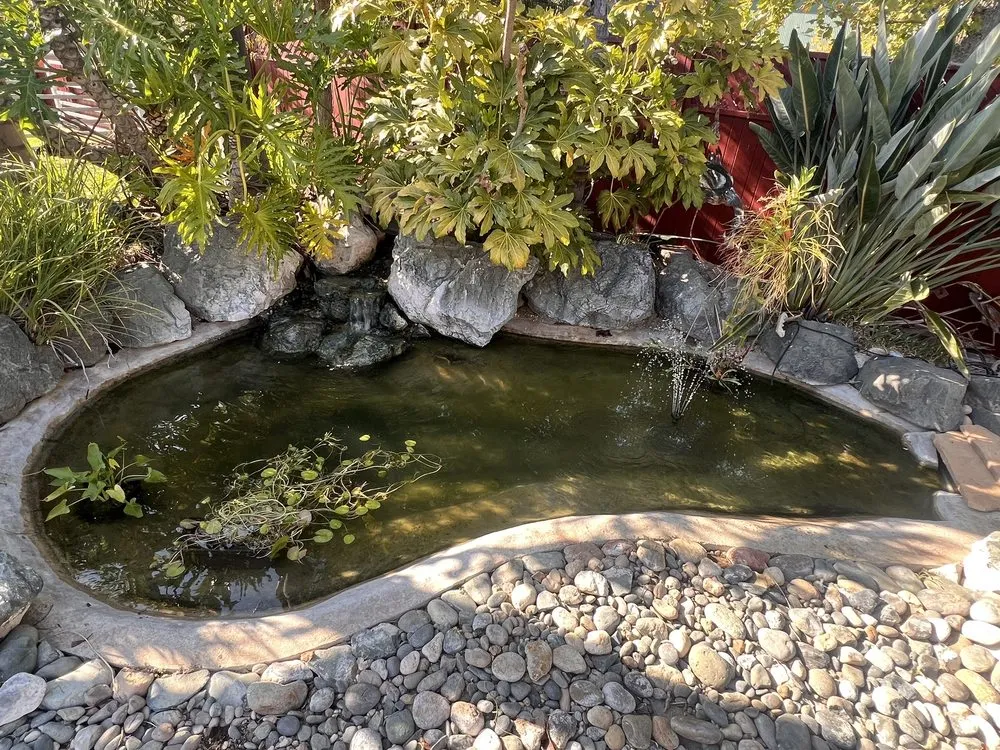 Local yard maintenance with custom design across Antelope, CA - True Oasis Pond & Pool Care
