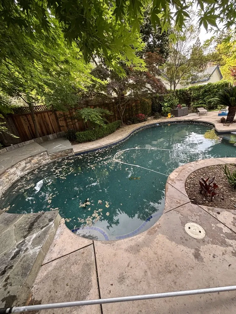 Trusted yard cleanup service in Antelope, CA - True Oasis Pond & Pool Care
