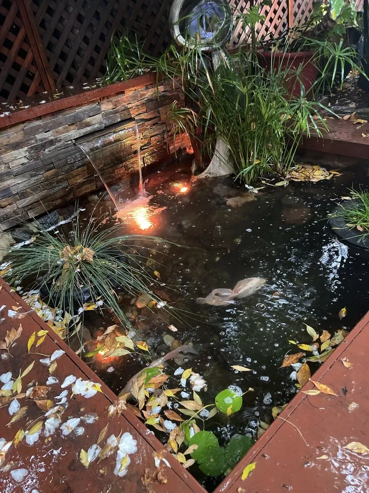 Top-rated lawn care service for year-round maintenance in Antelope, CA by True Oasis Pond & Pool Care