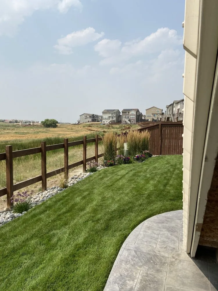 Trusted yard maintenance for homes across Broomfield, CO - True Outdoor Living