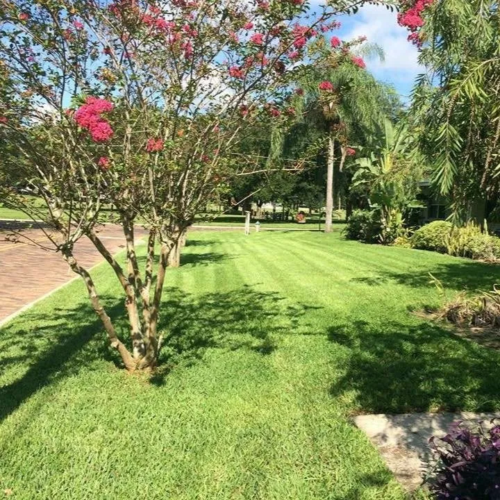 Professional lawn mowing service near you across Deltona, FL - True Outdoors