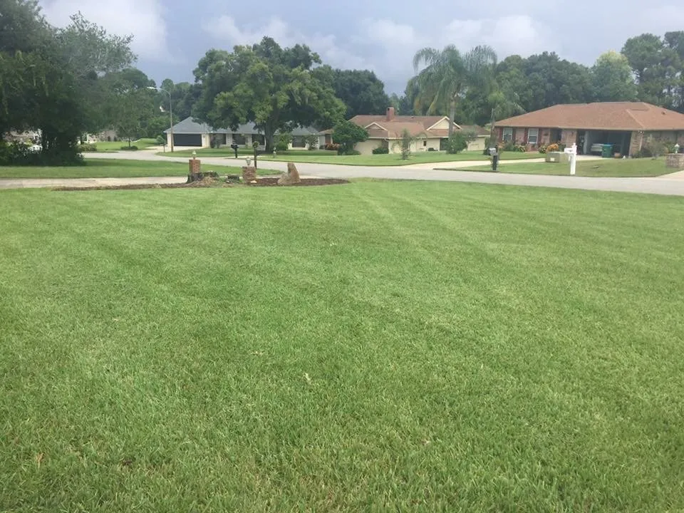 Expert garden landscaping experts serving Deltona, FL - True Outdoors