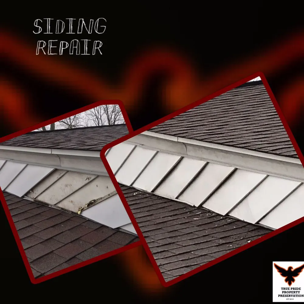 Affordable residential landscaping experts serving Hamilton, OH - True Pride Property Preservation