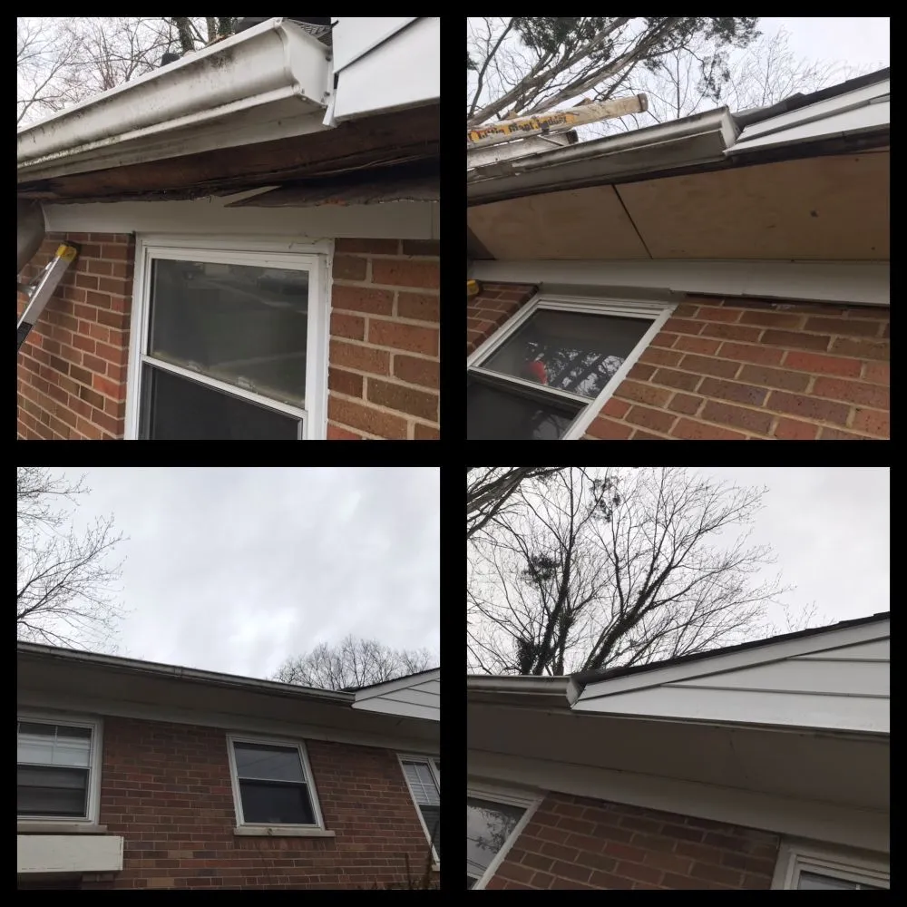 Reliable yard cleanup service with custom design in Hamilton, OH by True Pride Property Preservation