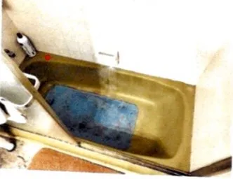 Expert landscape design for outdoor upgrades across Hamilton, OH - True Pride Property Preservation