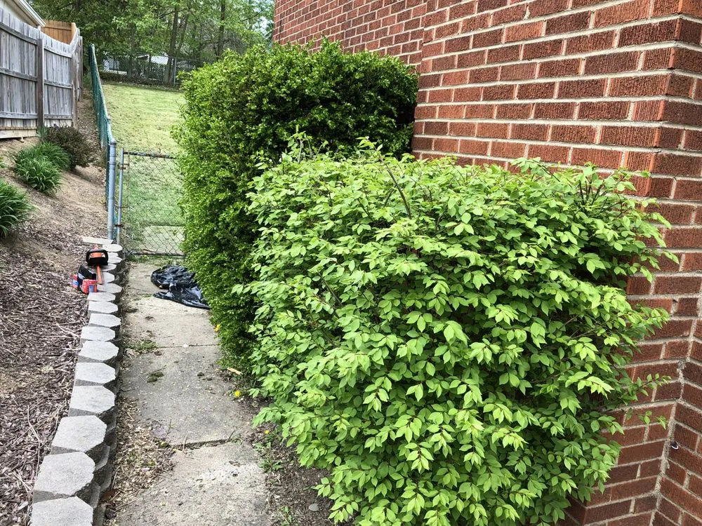 Top-rated lawn care service for homes in Natrona Heights, PA by True Quality Management